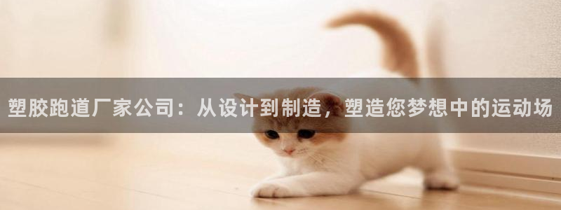 55814红足1世：塑胶跑道厂家公司：从设计到制造，塑造您梦想中的运动场