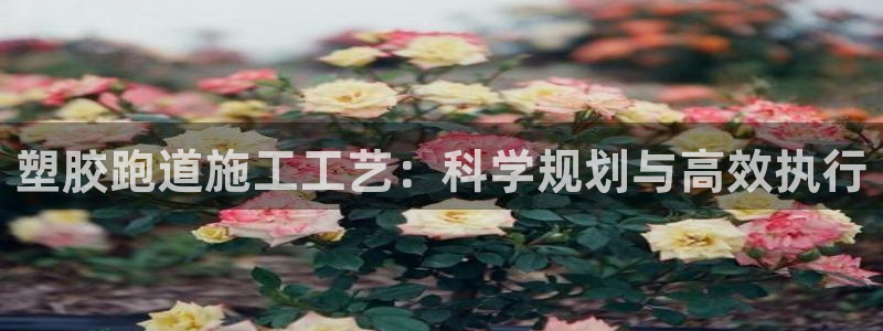 红足1一世开奖版：塑胶跑道施工工艺：科学规划与高效执行