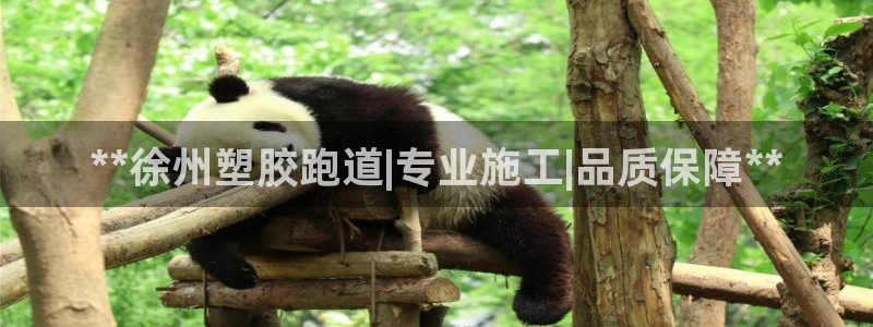 百度红足一1视频在线观看：**徐州塑胶跑道|专业施工|品质保障**