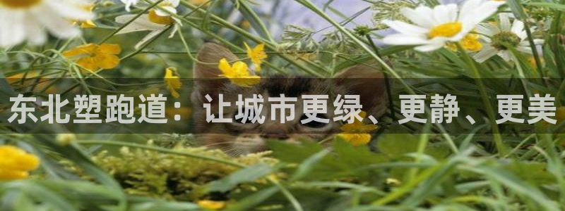 红足1世1站2站管理网：东北塑跑道：让城市更绿、更静、更美