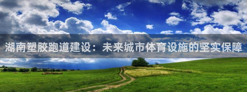 333814红足1世：湖南塑胶跑道建设：未来城市体育设施的坚实保障