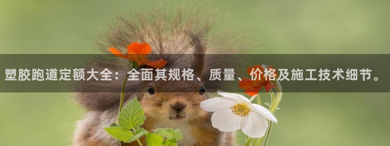 红足一1世皇冠地址:塑胶跑道定额大全:全面其规格、质量、价格及施工技术细节。