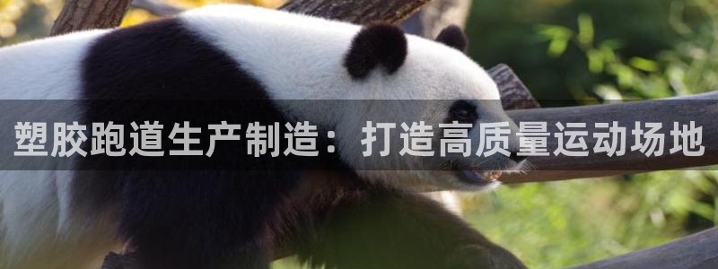 66814红足：塑胶跑道生产制造：打造高质量运动场地