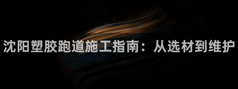 红足一1世66814:沈阳塑胶跑道施工指南:从选材到维护