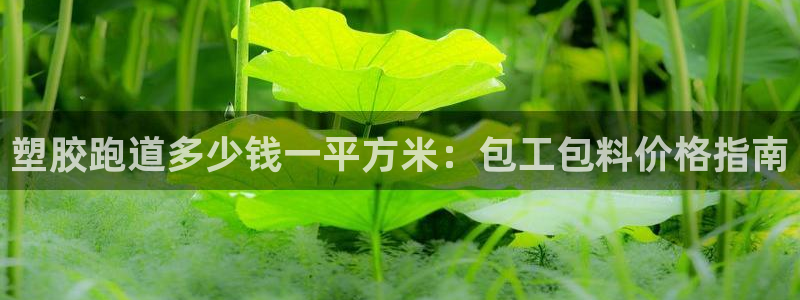 红足一1世官网：塑胶跑道多少钱一平方米：包工包料价格指南
