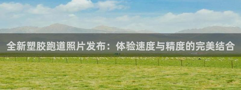 红足体育网：全新塑胶跑道照片发布：体验速度与精度的完美结合