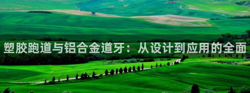 红足1世足球网址:塑胶跑道与铝合金道牙:从设计到应用的全面