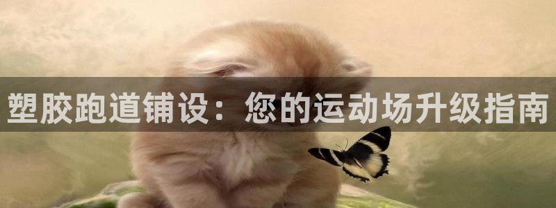 666814红·足一世比分:塑胶跑道铺设:您的运动场升级指南