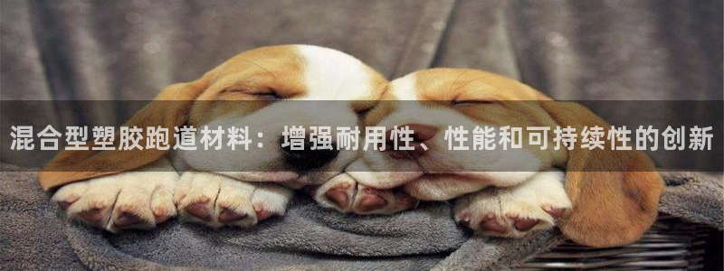 333814红足1世：混合型塑胶跑道材料：增强耐用性、性能和可持续性的创新