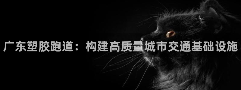 红足1世手机下载：广东塑胶跑道：构建高质量城市交通基础设施