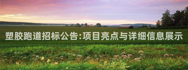红足一1世官网足球推荐真人：塑胶跑道招标公告:项目亮点与详细信息展示