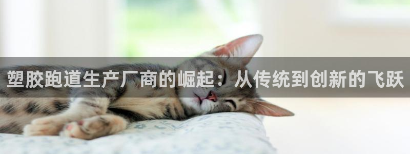 777814红·足一世比分篮球:塑胶跑道生产厂商的崛起:从传统到创新的飞跃