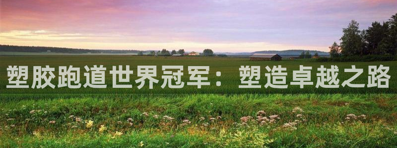 红足网足球直播：塑胶跑道世界冠军：塑造卓越之路