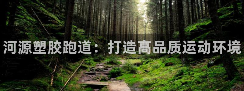 红足体育网:河源塑胶跑道:打造高品质运动环境