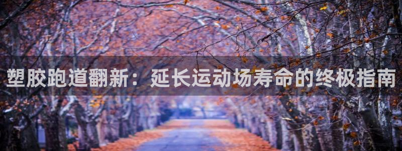 66814红足:塑胶跑道翻新:延长运动场寿命的终极指南