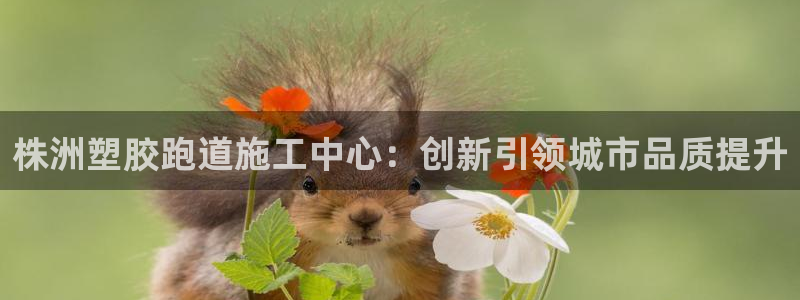 红足1世足球比分网址：株洲塑胶跑道施工中心：创新引领城市品质提升