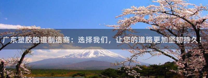 红足一1世平台：广东塑胶跑道制造商：选择我们，让您的道路更加坚韧持久！