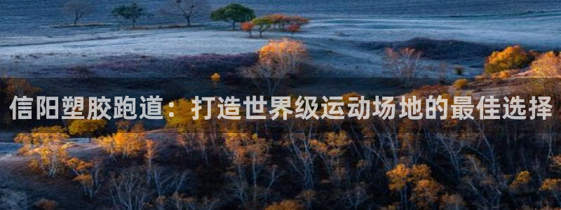 红足一1世比分网:信阳塑胶跑道:打造世界级运动场地的最佳选择