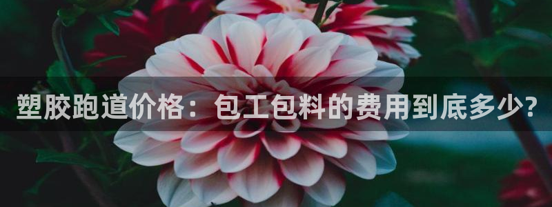 红足网足球直播：塑胶跑道价格：包工包料的费用到底多少?