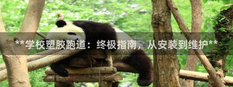 红足1世1站2站管理网:**学校塑胶跑道:终极指南,从安装到维护**