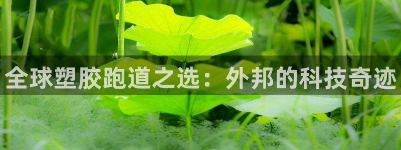 红足一1世即时比分：全球塑胶跑道之选：外邦的科技奇迹