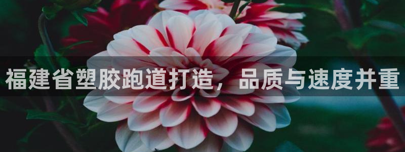 333814红足1世：福建省塑胶跑道打造，品质与速度并重