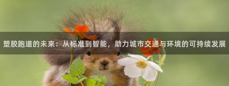 红足1世手机板：塑胶跑道的未来：从标准到智能，助力城市交通与环境的可持续发展