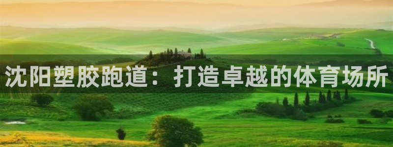 红足 世足球手机网:沈阳塑胶跑道:打造卓越的体育场所