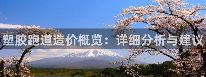 333814红足1世：塑胶跑道造价概览：详细分析与建议