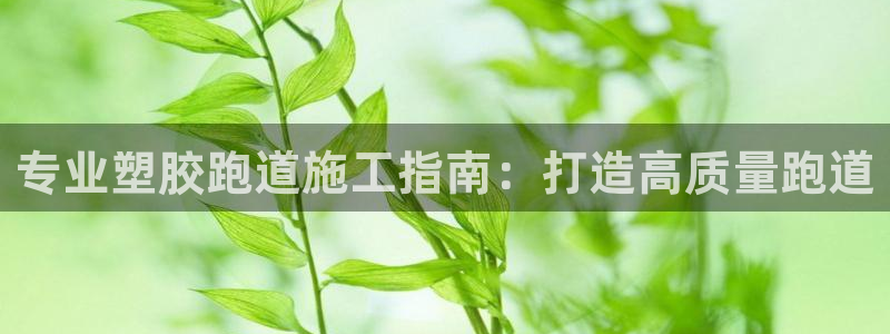 红足1世手足球比分：专业塑胶跑道施工指南：打造高质量跑道