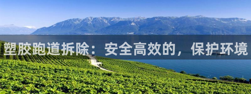 红足一1世皇冠登录：塑胶跑道拆除：安全高效的，保护环境