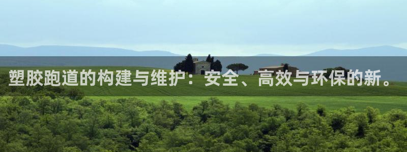 百度红足一1是什么样子的：塑胶跑道的构建与维护：安全、高效与环保的新。