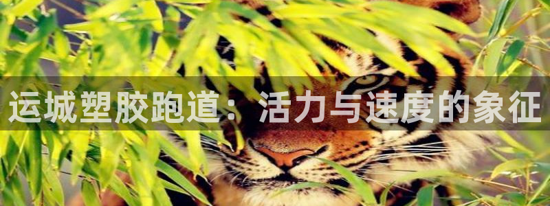 红足1世1站：运城塑胶跑道：活力与速度的象征