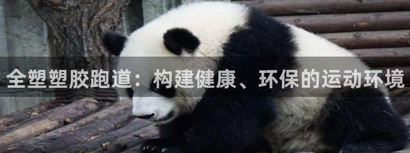 红足一球：全塑塑胶跑道：构建健康、环保的运动环境