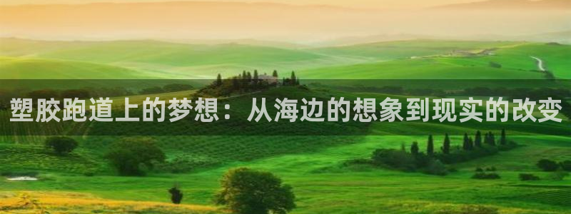百度红足一1使用说明：塑胶跑道上的梦想：从海边的想象到现实的改变