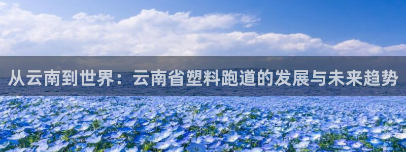 红足一1世手机开奖：从云南到世界：云南省塑料跑道的发展与未来趋势