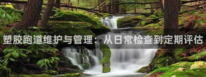 红足一1世666814足球比分网：塑胶跑道维护与管理：从日常检查到定期评估