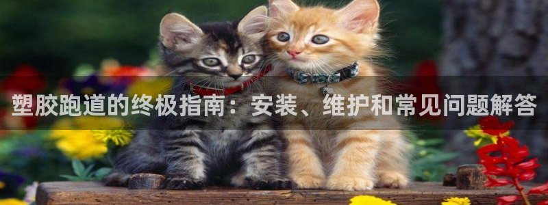 777814红·足一世比分：塑胶跑道的终极指南：安装、维护和常见问题解答