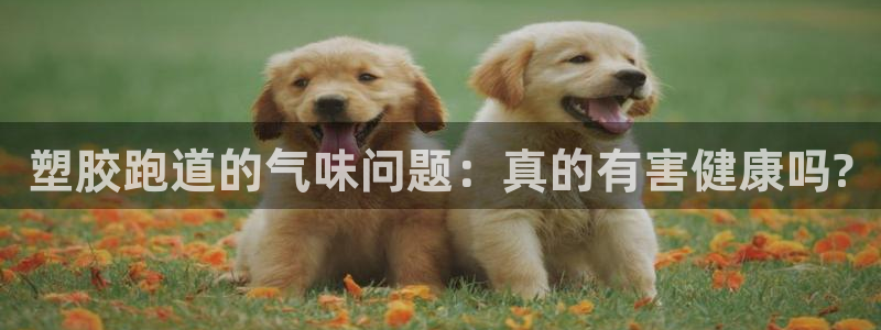 红姐现场直播开奖记录