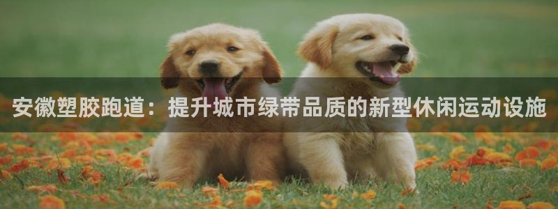 红足体育网：安徽塑胶跑道：提升城市绿带品质的新型休闲运动设施