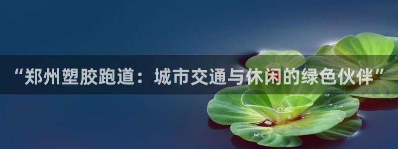 百度红足一1视频在线观看：“郑州塑胶跑道：城市交通与休闲的绿色伙伴”