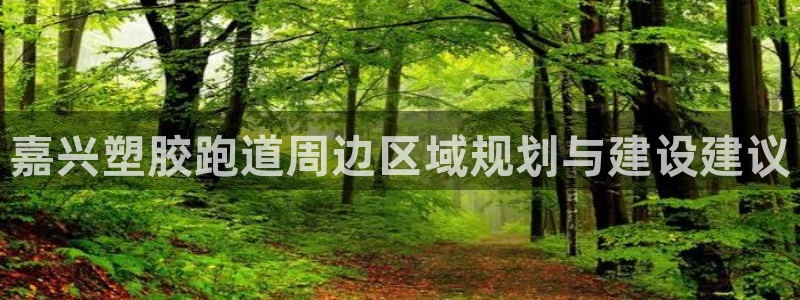 红足足球网：嘉兴塑胶跑道周边区域规划与建设建议