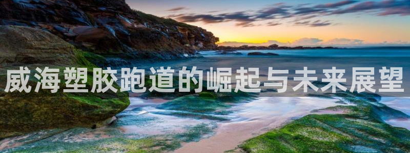 百度红足一1是为什么：威海塑胶跑道的崛起与未来展望