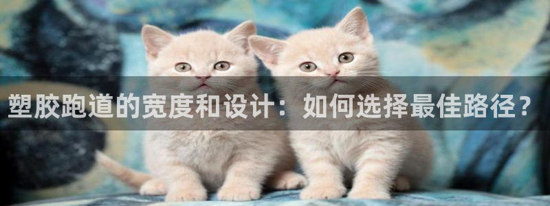 红足一1世官网比分：塑胶跑道的宽度和设计：如何选择最佳路径？