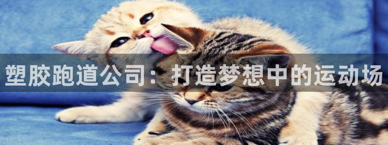 红足一1世手机皇冠：塑胶跑道公司：打造梦想中的运动场