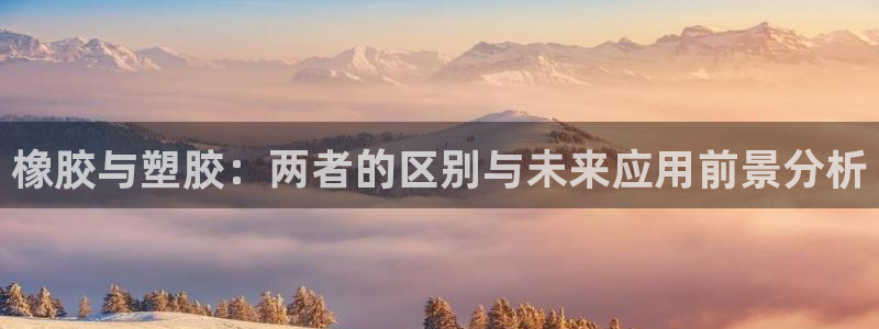 红足1世1站2站管理网：橡胶与塑胶：两者的区别与未来应用前景分析