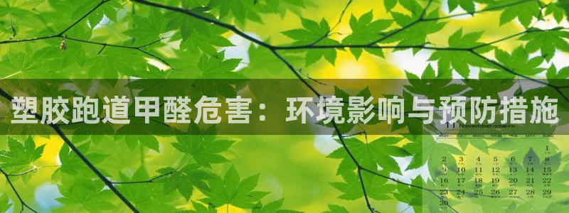百度红足一1是为什么：塑胶跑道甲醛危害：环境影响与预防措施