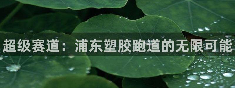 红足1世足球比分：超级赛道：浦东塑胶跑道的无限可能