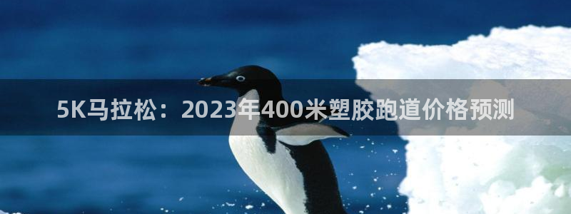 红足一1世：5K马拉松：2023年400米塑胶跑道价格预测