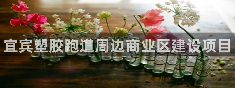 红足一1世比分球探